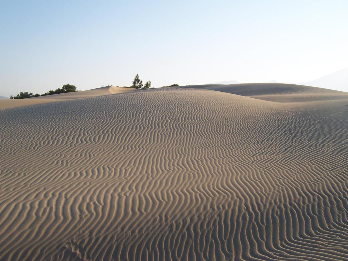 Patara Caretta Hotel المظهر الخارجي الصورة