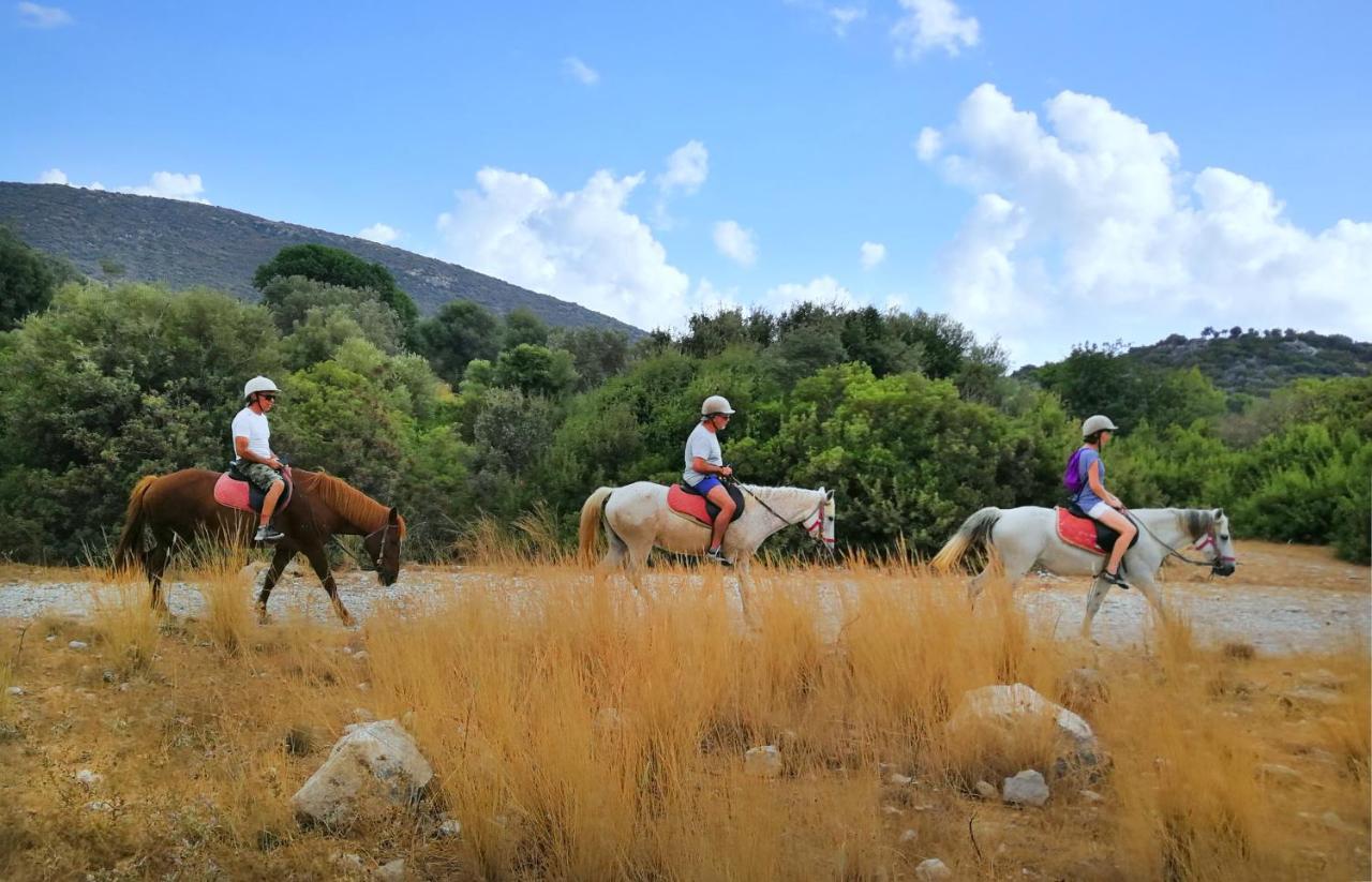 Patara Caretta Hotel المظهر الخارجي الصورة